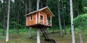 Cabane de jardin